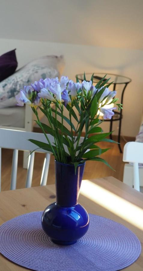 Apartament U Vaclava Kněževes Zewnętrze zdjęcie