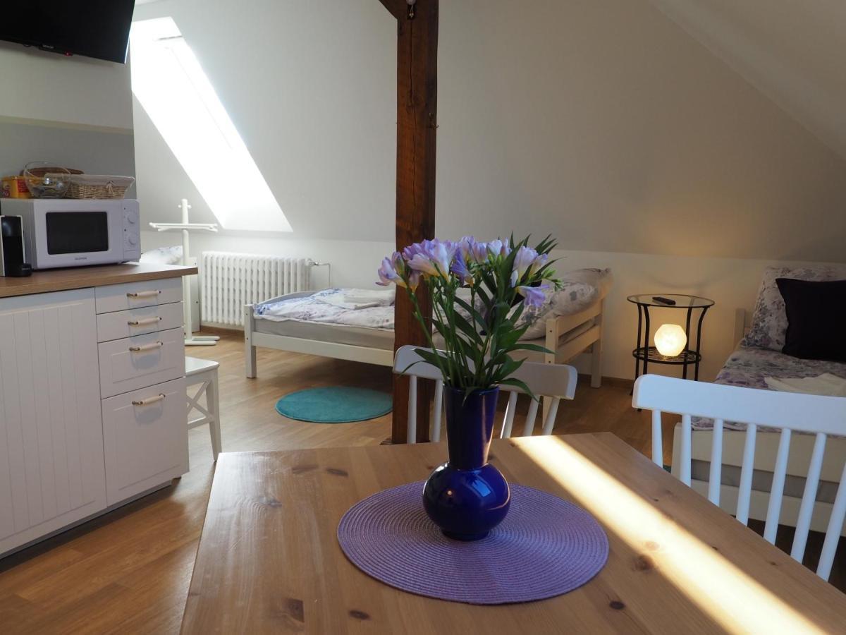 Apartament U Vaclava Kněževes Zewnętrze zdjęcie