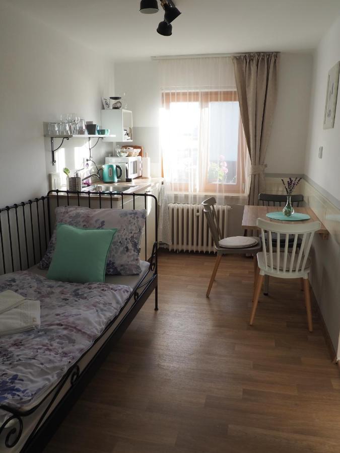 Apartament U Vaclava Kněževes Zewnętrze zdjęcie